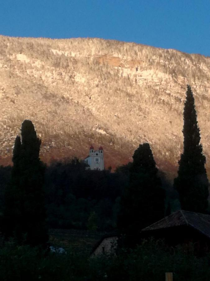 Apartament Ansitz Jenner Appiano Sulla Strada Del Vino Zewnętrze zdjęcie