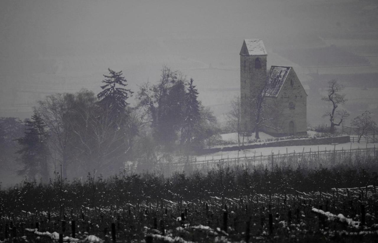 Apartament Ansitz Jenner Appiano Sulla Strada Del Vino Zewnętrze zdjęcie
